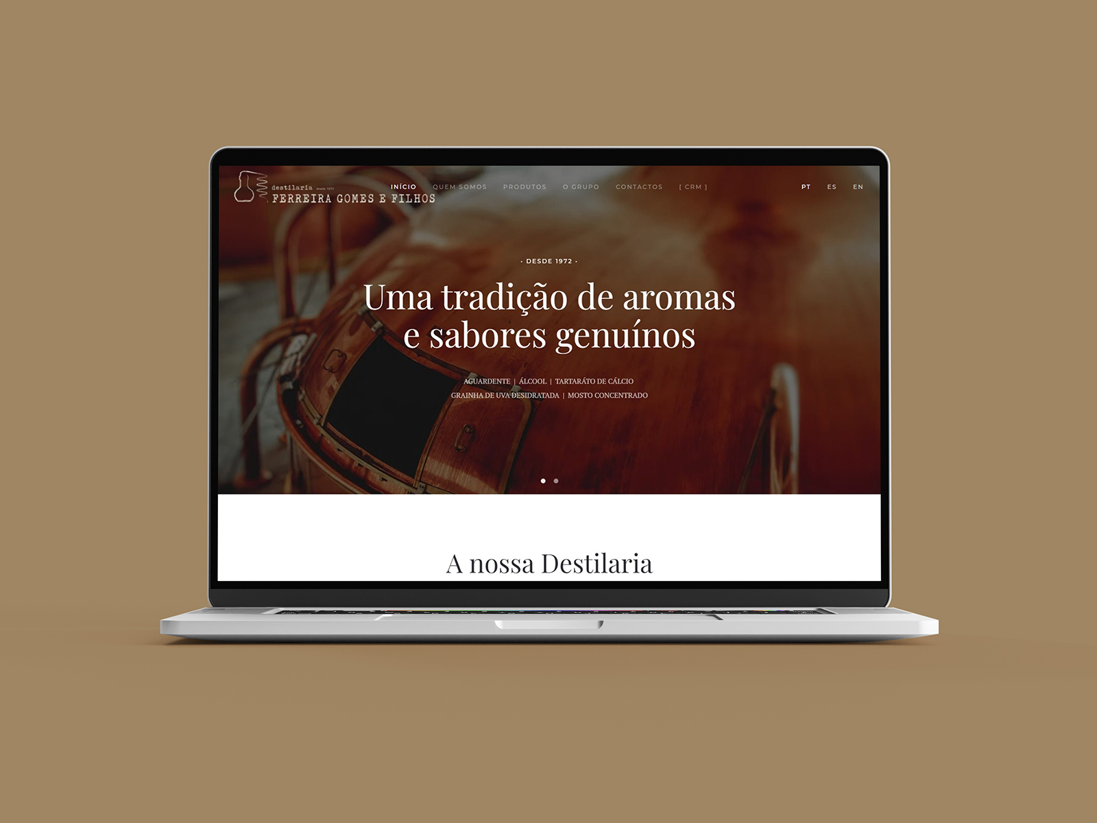 Ferreira Gomes website webdesig design next solution tomar agencia de comunicação